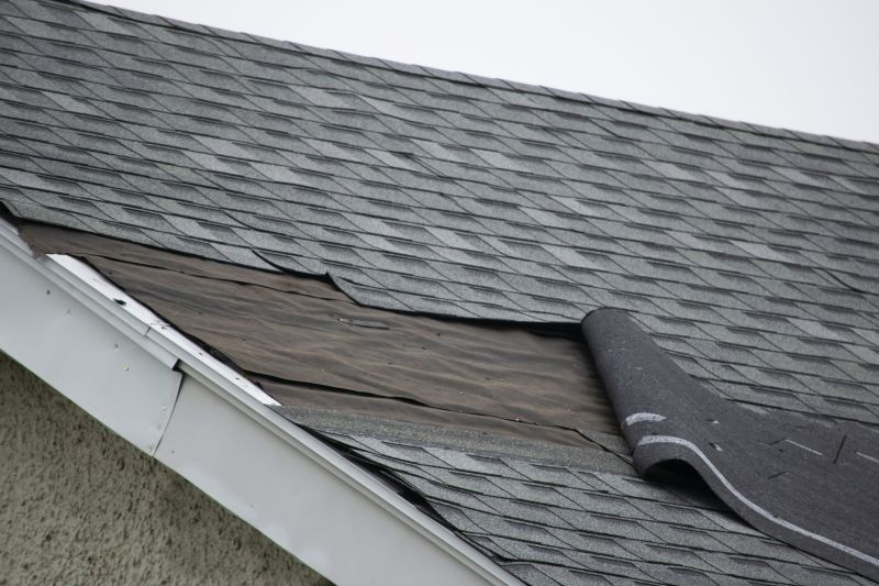 Expert Roof Repair